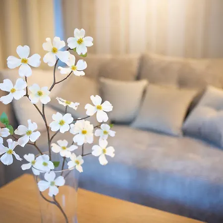 Апартаменты Pomorska 8